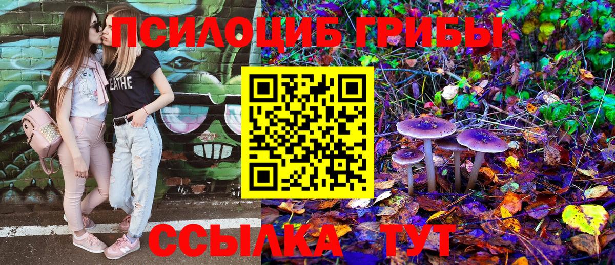 Псилоцибиновые грибы MAGIC MUSHROOMS Вологда