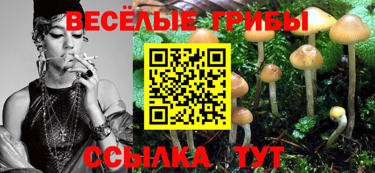 Галлюциногенные грибы Psilocybine cubensis  Псилоцибиновые грибы MAGIC MUSHROOMS  Вход с VPN  Вологда 